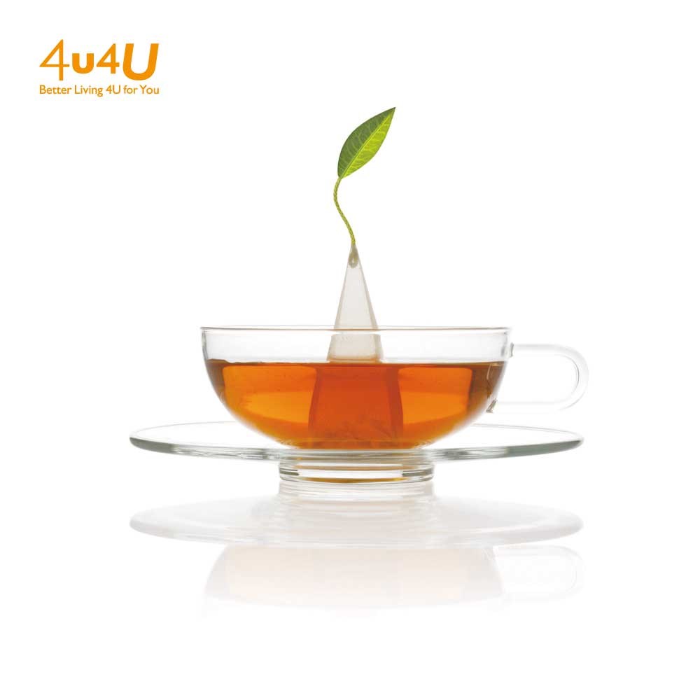 【Tea Forte】Sontu 精緻玻璃茶杯 & 印花茶碟