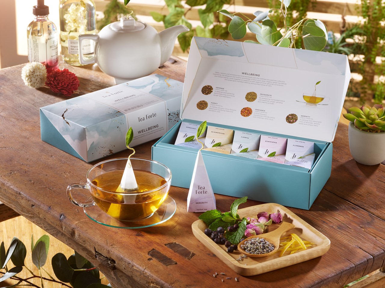 【Tea Forte】10入金字塔型絲質茶包 - 養生韻心 Petite Box - Wellbeing