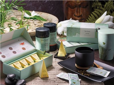 【Tea Forte】10入金字塔型絲質茶包 - 靜心蓮語 Petite Box - Lotus